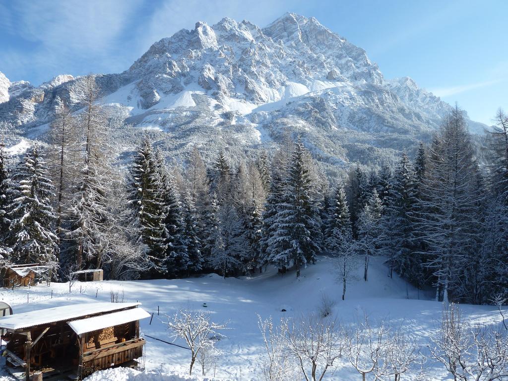 Appartamenti Da Nica E Diego Borca di Cadore Kamer foto