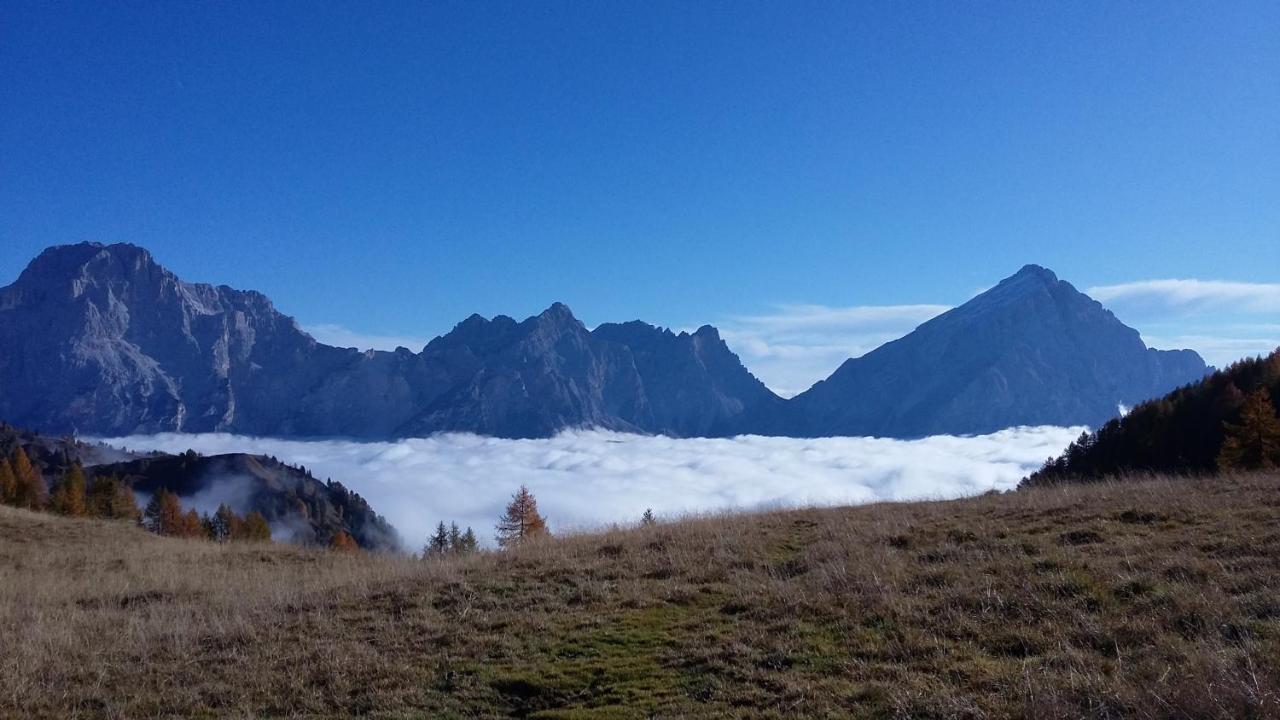 Appartamenti Da Nica E Diego Borca di Cadore Buitenkant foto